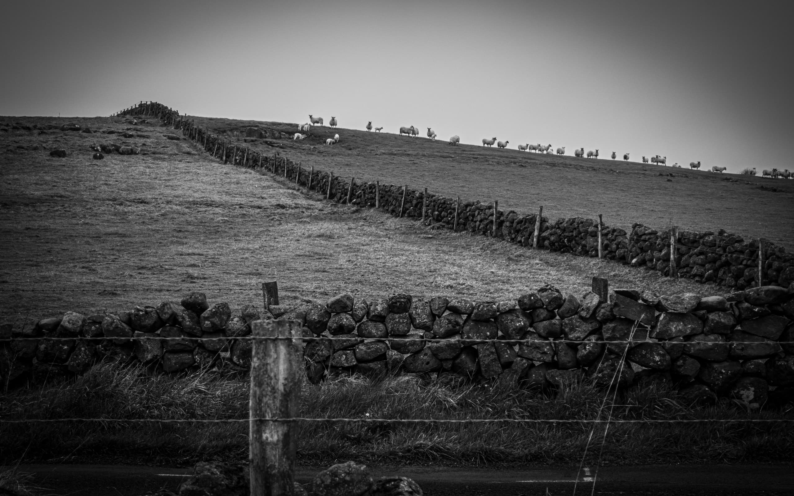 Landscapes & Cityscapes photo 12