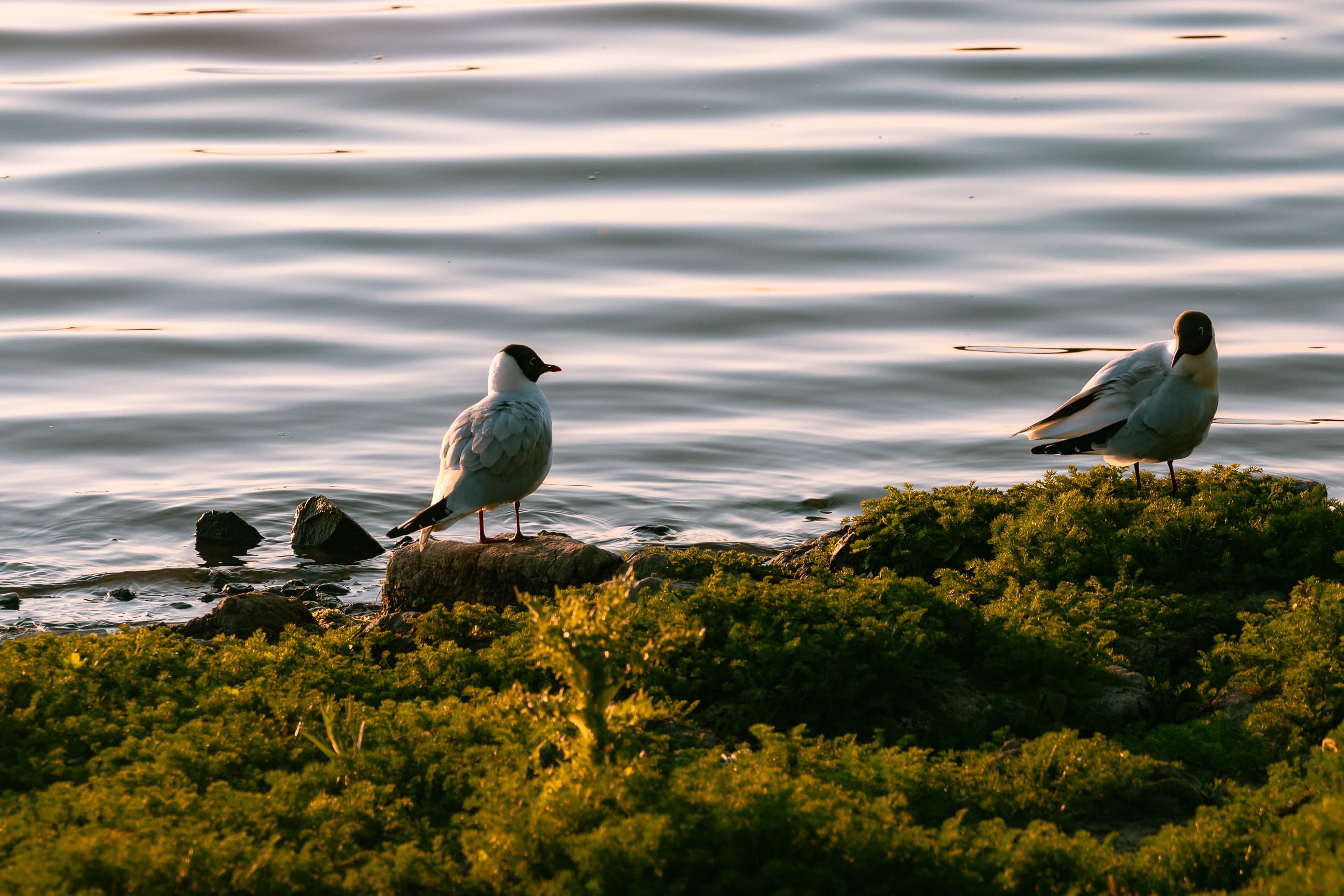 Landscapes & Cityscapes photo 6